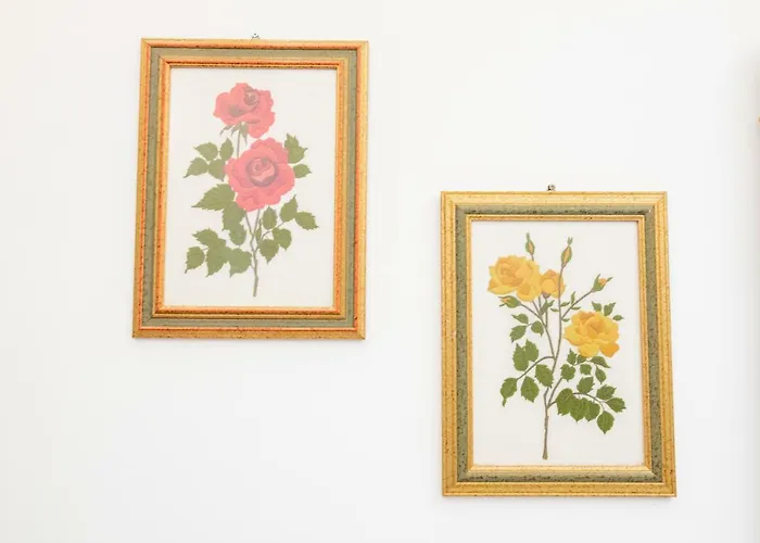 Willa In (adults Only)